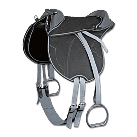 Pony Zadel
